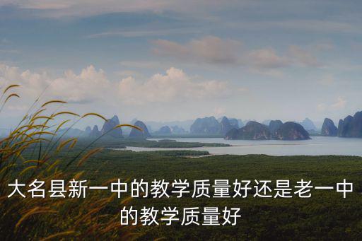 大名縣第一中學，大名老一中初中分數線