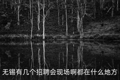 無錫有幾個招聘會現場啊都在什么地方
