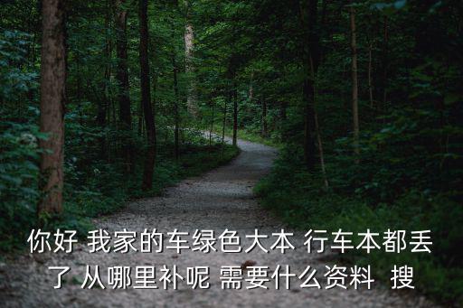 你好 我家的車綠色大本 行車本都丟了 從哪里補呢 需要什么資料  搜