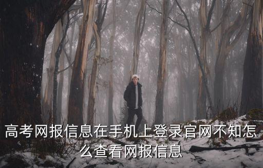高考網報信息在手機上登錄官網不知怎么查看網報信息