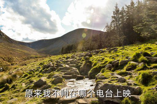 原來我不帥在哪個電臺上映