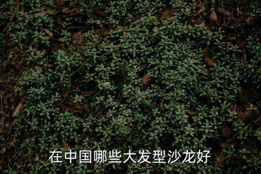 在中國哪些大發(fā)型沙龍好