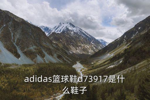 d3339，鉆石上寫的d031ct是什么意思