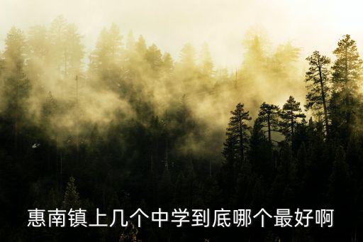 惠南鎮(zhèn)上幾個中學到底哪個最好啊