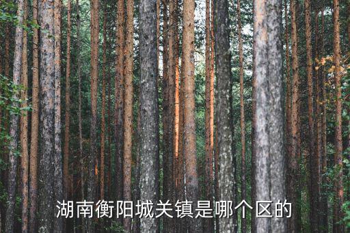 湖南衡陽城關(guān)鎮(zhèn)是哪個(gè)區(qū)的