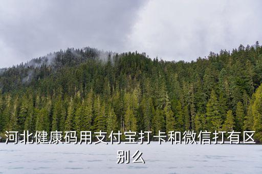 河北健康碼用支付寶打卡和微信打有區(qū)別么