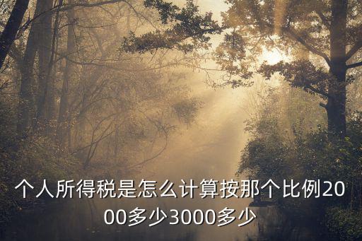 個人所得稅是怎么計算按那個比例2000多少3000多少