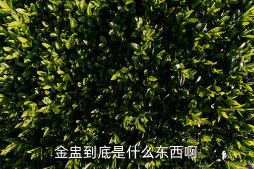 金盅到底是什么東西啊