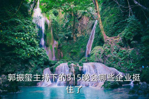 郭振璽主持下的315晚會哪些企業挺住了