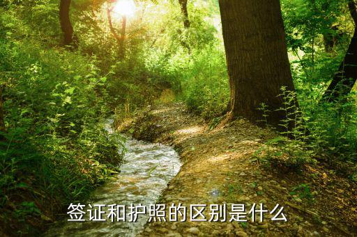 簽證和護照的區(qū)別是什么