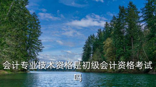 會計專業技術資格是初級會計資格考試嗎