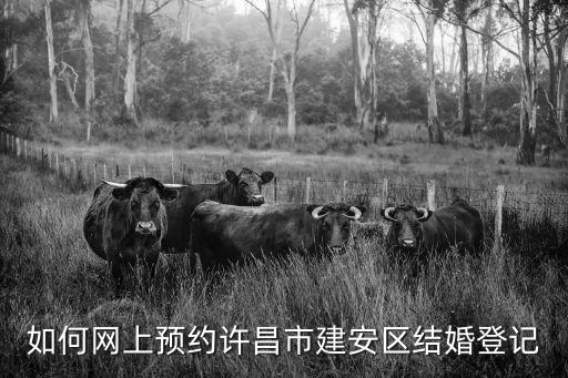 結(jié)婚登記網(wǎng)上預(yù)約，如何網(wǎng)上預(yù)約許昌市建安區(qū)結(jié)婚登記