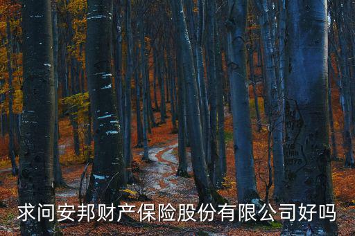 求問安邦財產保險股份有限公司好嗎