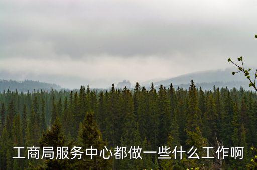 工商局服務中心都做一些什么工作啊