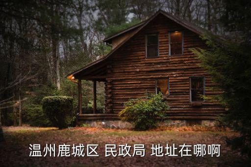 溫州民政局，溫州市鹿城 民政局
