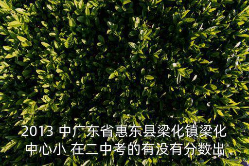 惠東縣第二人民醫院，2013 中廣東省惠東縣梁化鎮梁化中心小 在二中考的有沒有分數出