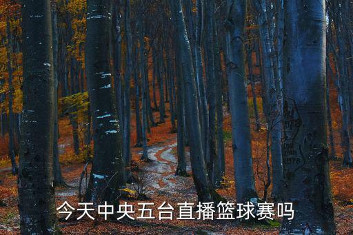 今日籃球比賽直播，今天的籃球比賽深圳衛(wèi)視會(huì)直播嗎