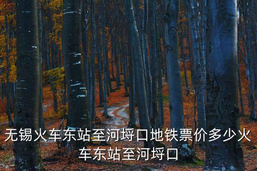 無錫火車東站至河埒口地鐵票價多少火車東站至河埒口