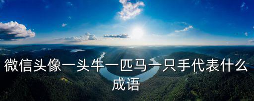 微信頭像一頭牛一匹馬一只手代表什么成語