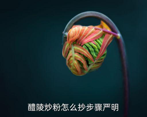 醴陵炒粉怎么抄步驟嚴明