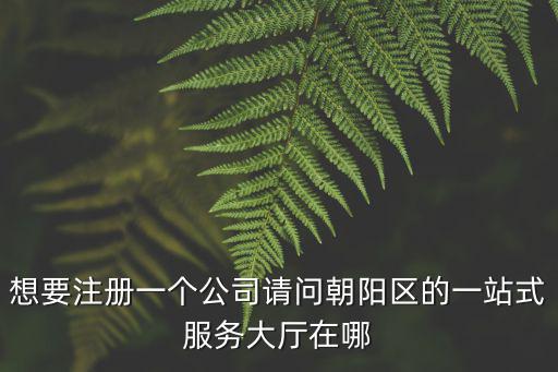 想要注冊一個公司請問朝陽區的一站式服務大廳在哪