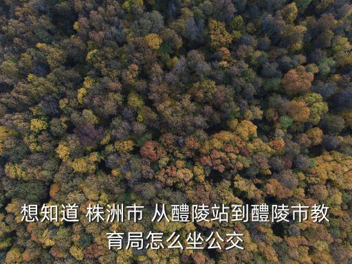 醴陵教育局，醴陵市教育局局長候選人是誰