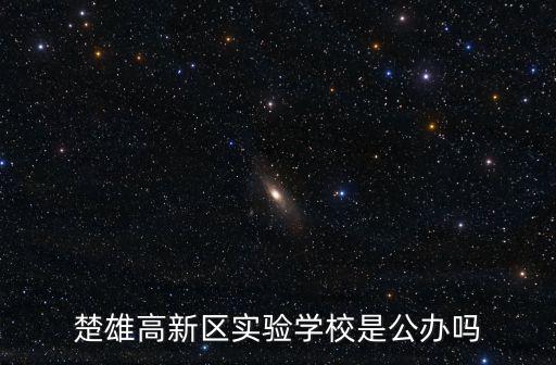 楚雄高新區實驗學校是公辦嗎