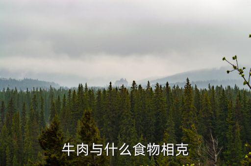 牛肉與什么食物相克