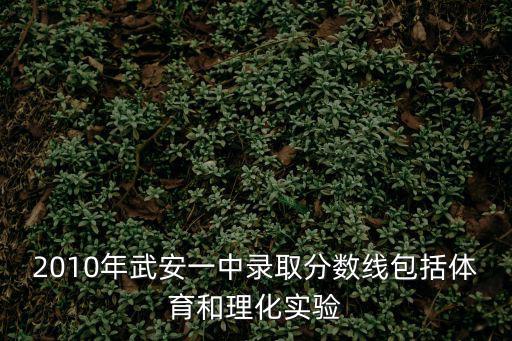 2010年武安一中錄取分數線包括體育和理化實驗