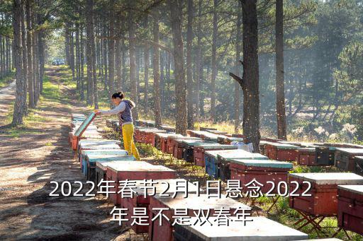 2022年春節2月1日懸念2022年是不是雙春年