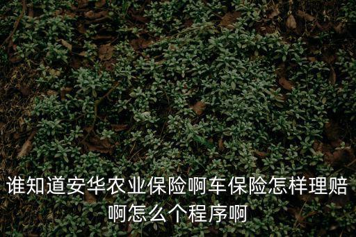 誰知道安華農業保險啊車保險怎樣理賠啊怎么個程序啊