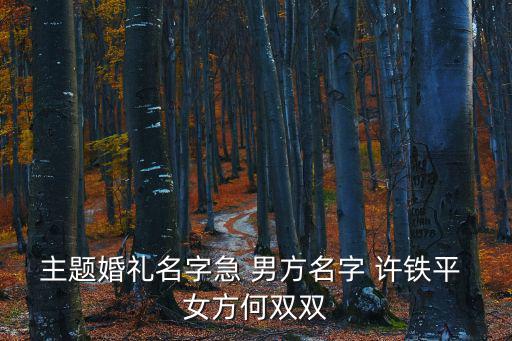 何雙雙，主題婚禮名字急 男方名字 許鐵平 女方何雙雙