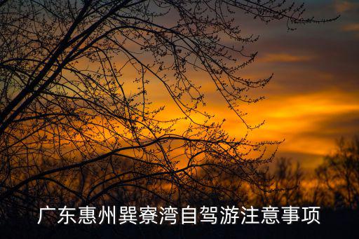 廣東惠州巽寮灣自駕游注意事項