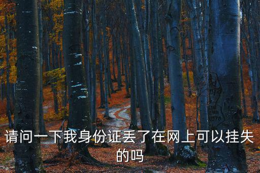 請問一下我身份證丟了在網(wǎng)上可以掛失的嗎