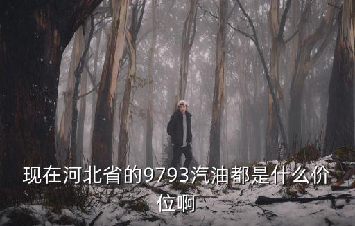 現(xiàn)在河北省的9793汽油都是什么價(jià)位啊