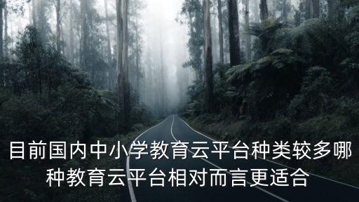 目前國內(nèi)中小學教育云平臺種類較多哪種教育云平臺相對而言更適合