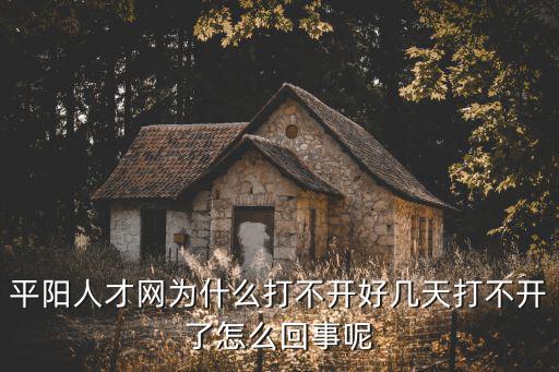 平陽人才網為什么打不開好幾天打不開了怎么回事呢