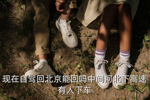 現在自駕回北京能回嗎中間河北下高速有人下車