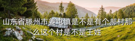山東省滕州市姜屯鎮(zhèn)是不是有個郝村那么這個村是不是王姓