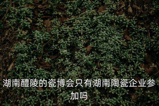 醴陵陶瓷博物館，湖南醴陵的瓷博會只有湖南陶瓷企業參加嗎