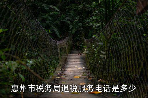 惠州市稅務局退稅服務電話是多少