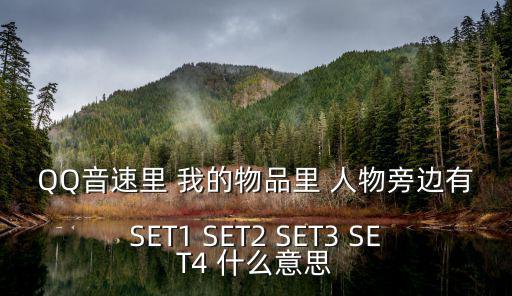 set4，我MP4里附贈的光盤里MP3set415是做什么用的