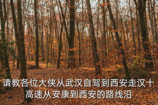 請教各位大俠從武漢自駕到西安走漢十高速從安康到西安的路線沿