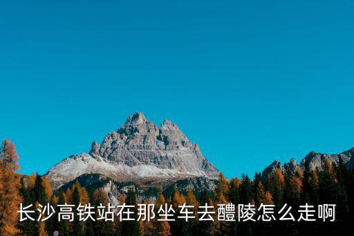 長(zhǎng)沙高鐵站在那坐車去醴陵怎么走啊