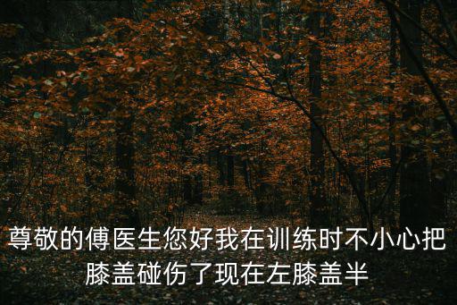 尊敬的傅醫生您好我在訓練時不小心把膝蓋碰傷了現在左膝蓋半
