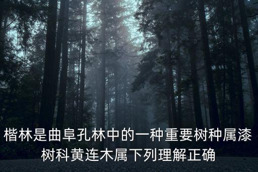 楷林是曲阜孔林中的一種重要樹種屬漆樹科黃連木屬下列理解正確