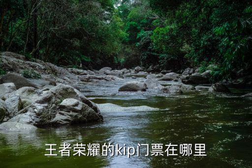 王者榮耀的kip門票在哪里