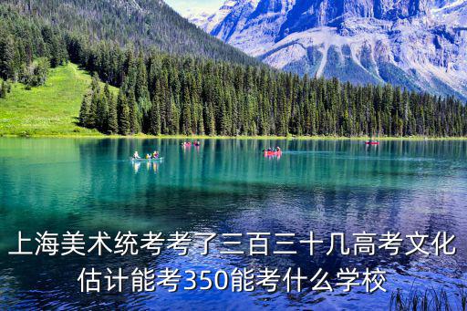 上海美術統考考了三百三十幾高考文化估計能考350能考什么學校