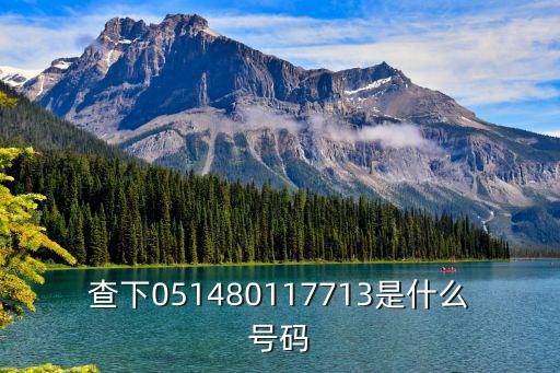 查下051480117713是什么號碼