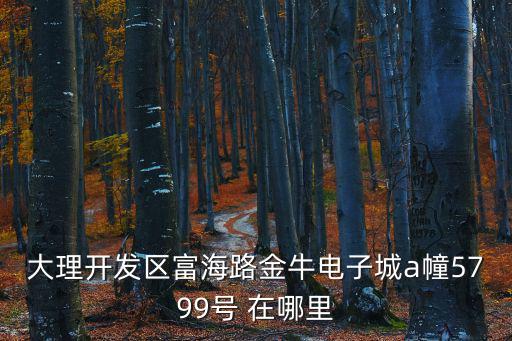 富海路，大理開發區富海路金牛電子城a幢5799號 在哪里